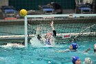 WWPolo vs CC  Wheaton College Women’s Water Polo compete in their sports inaugural match vs Connecticut College. - Photo By: KEITH NORDSTROM : Wheaton, water polo, inaugural